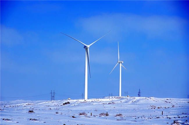 平原低风速风电轴承